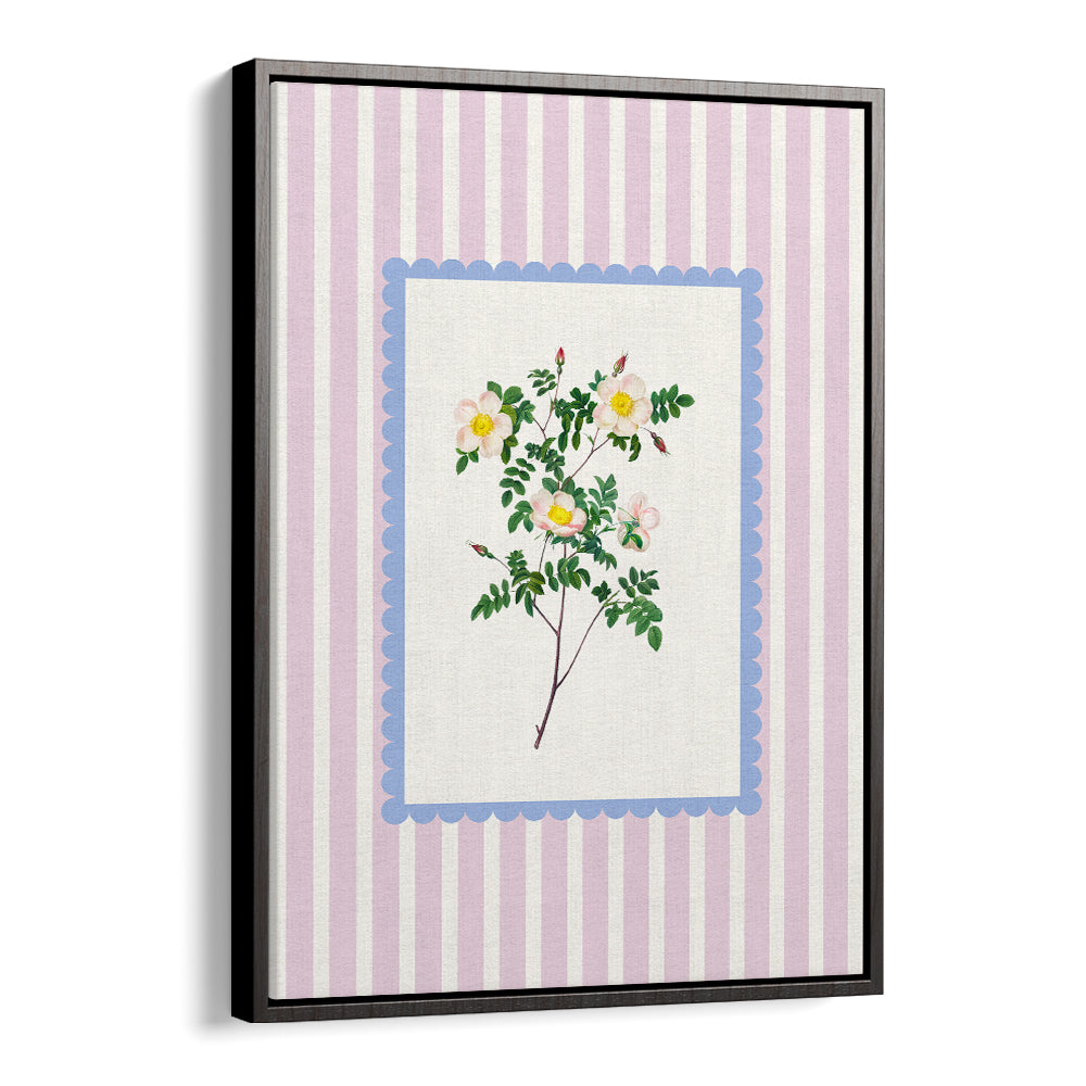 BLUSH WILD ROSE STUDY