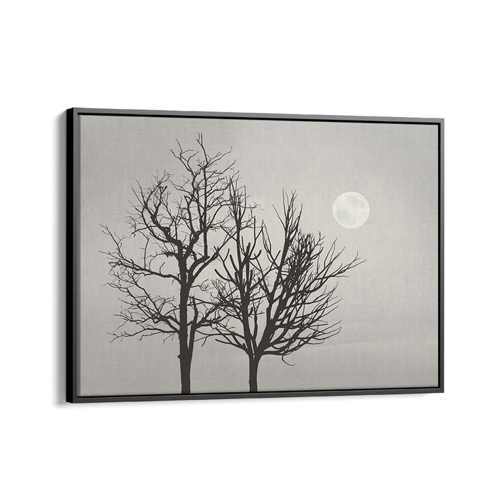 BRIGHT MOON LIGHT , LANDSCAPE PAINTINGS