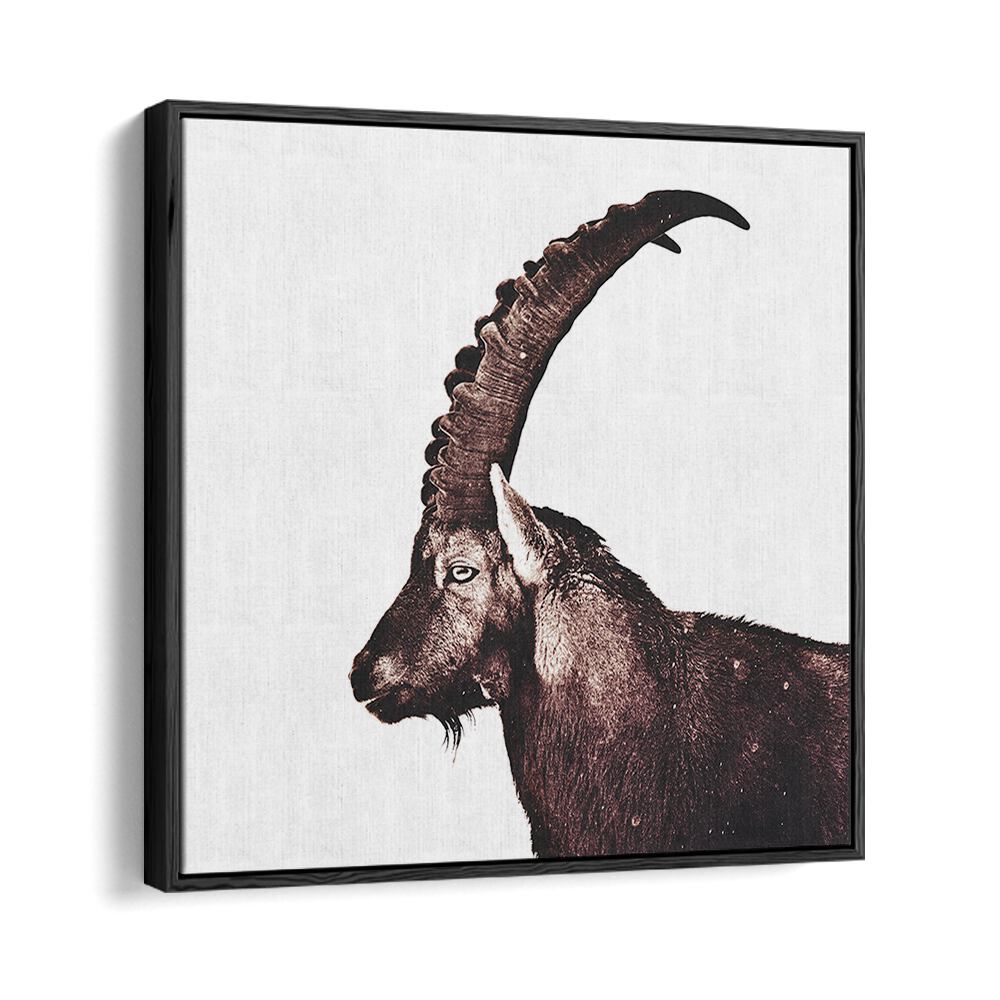 Majestic Capricorn in Snow, Animal Paintings, showcasing serene wildlife beauty in stunning abstract decor.