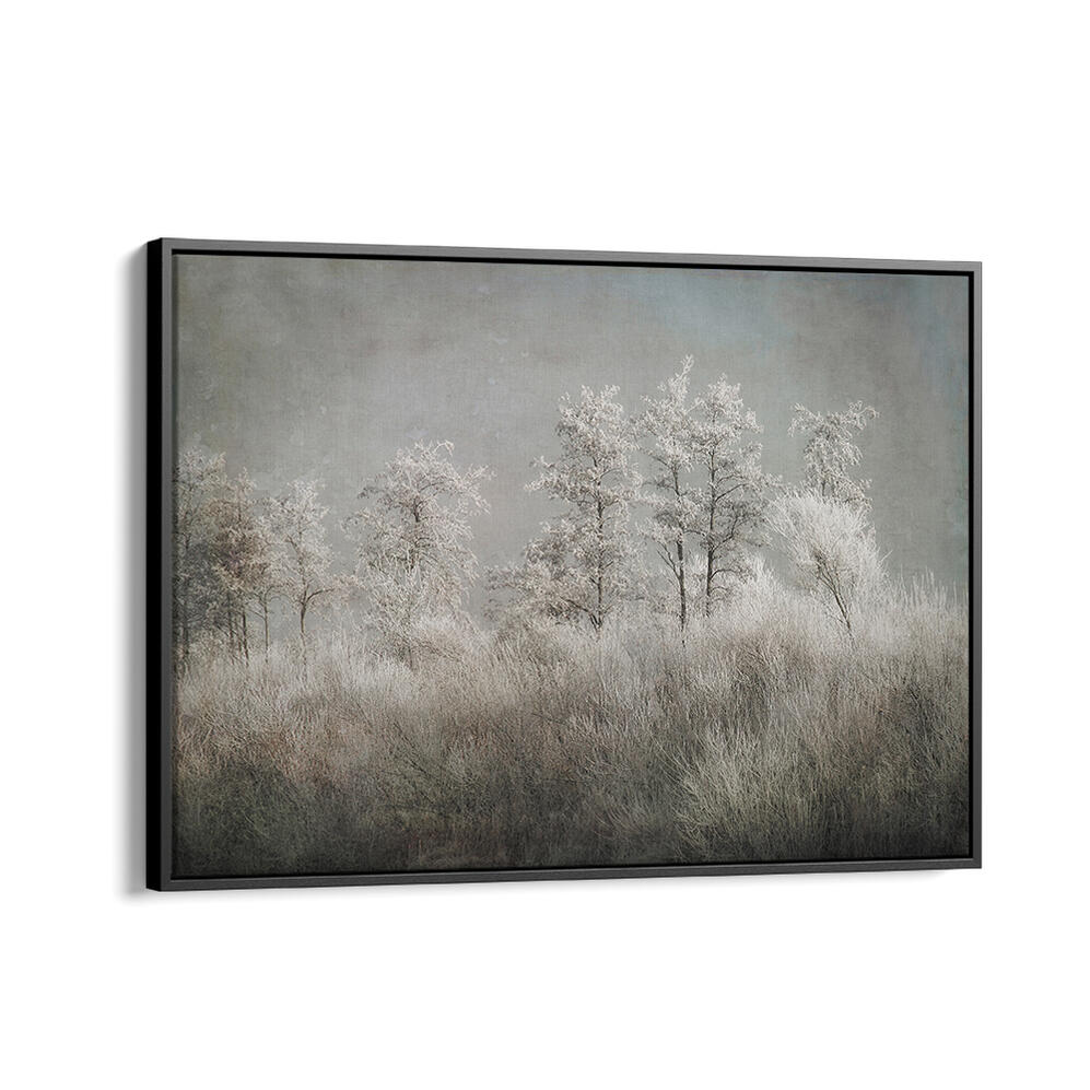 COLD MORNING , FLORAL FLOWER PAINTINGS