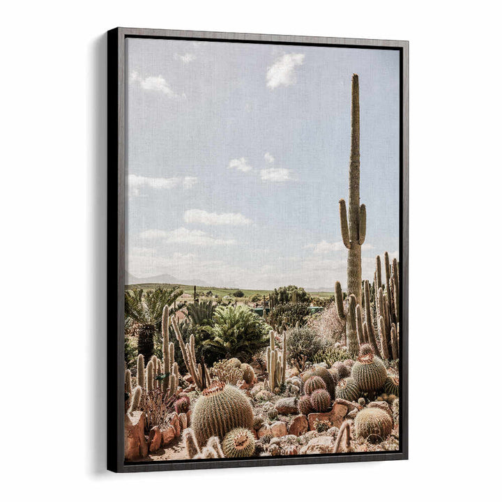 DESERT SYMPHONY , COWBOY framed Black Floater wall art with tall saguaro and barrel cacti in a sunlit desert landscape