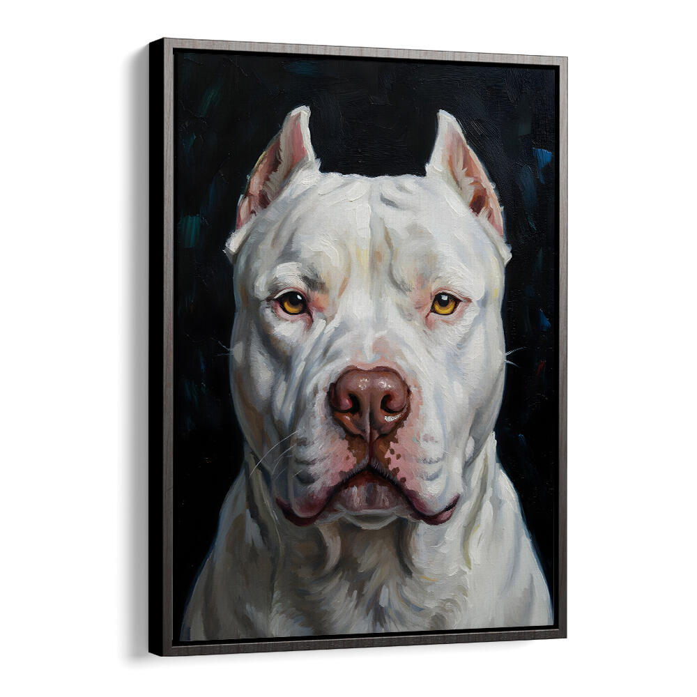 DOGO ARGENTINO