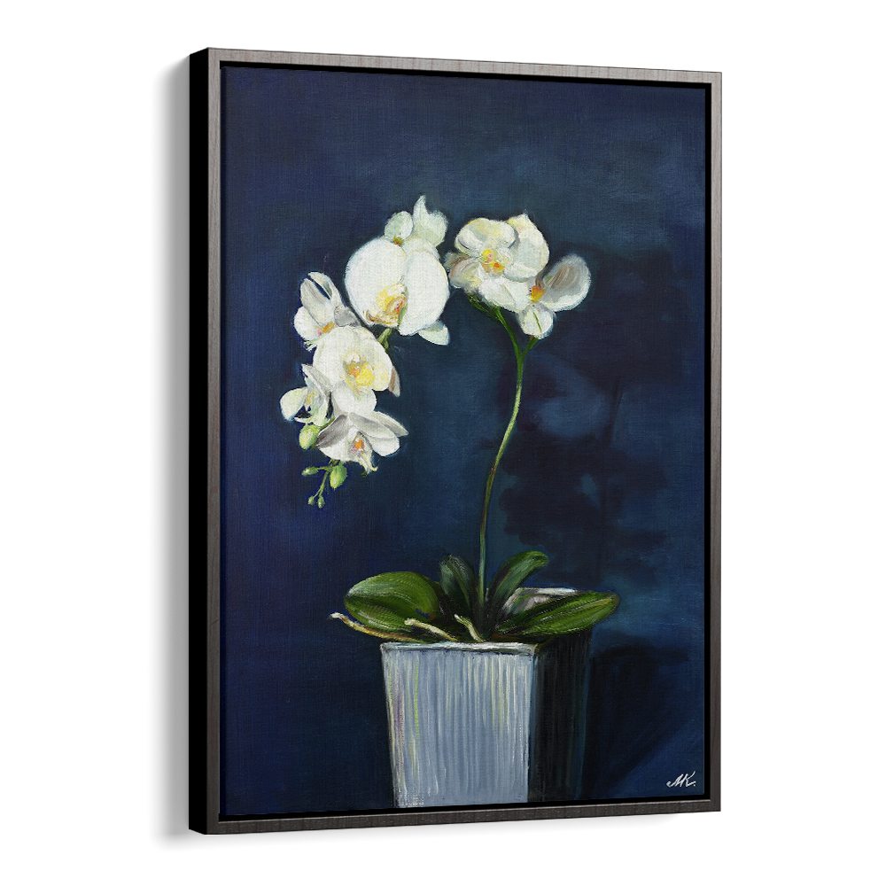 ELEGANT WHITE ORCHIDS