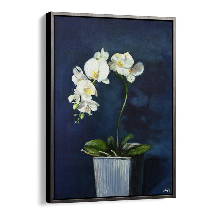 ELEGANT WHITE ORCHIDS