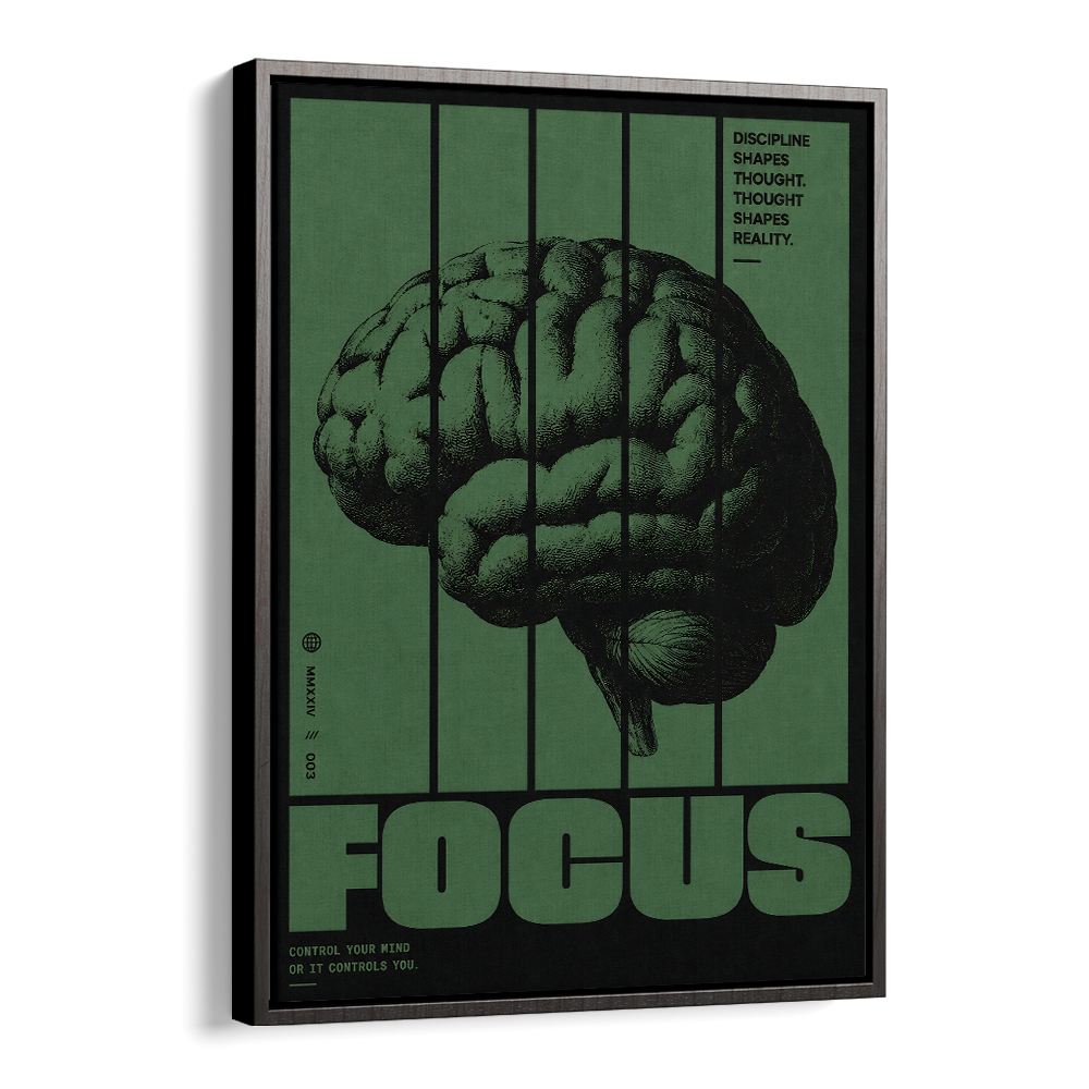 FOCUS - VI