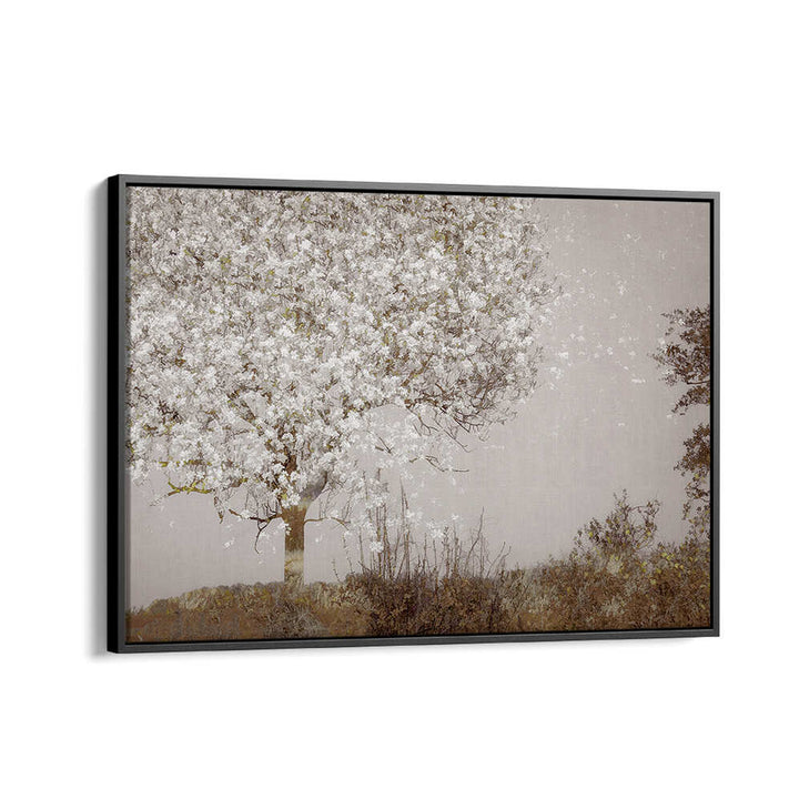 FRUIT TREE , FLORAL FLOWER PAINTINGS