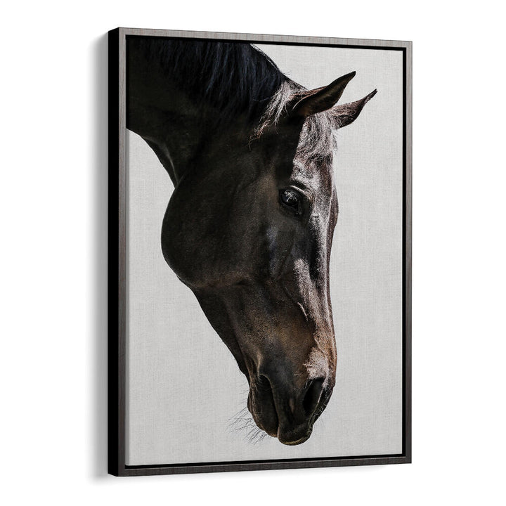 Framed black horse portrait with soft profile, GENTLE EQUINE GAZE , ANIMAL PAINTINGS — Blackfloater