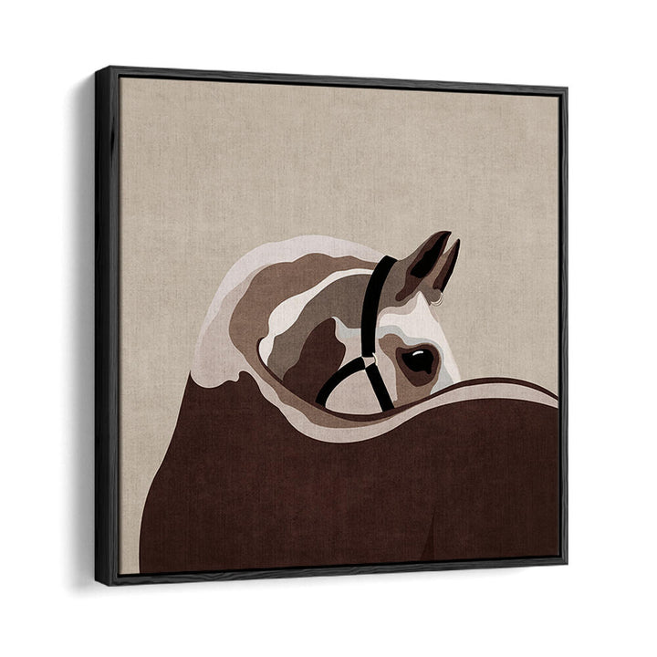 GENTLE EQUINE CURVE