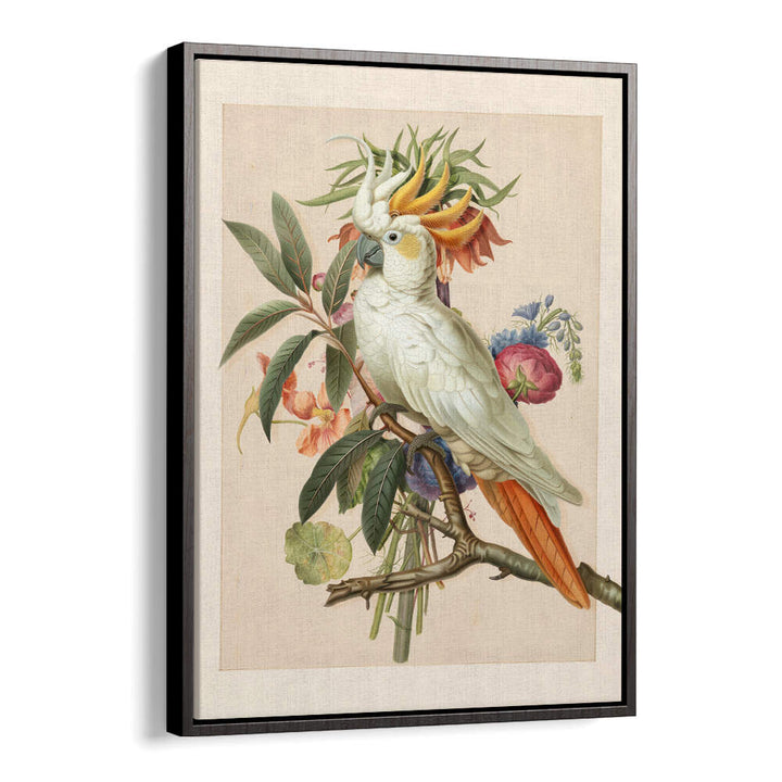 HENRIËTTA’S BIRD