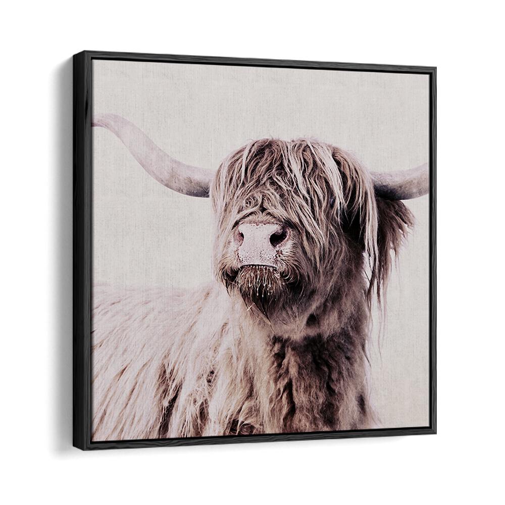 Highland Cattle Animal Paintings showcase stunning detail, perfect for wildlife lovers and art enthusiasts.
