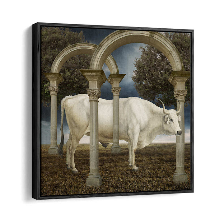 ILLUSIONNISME DE LA VACHE