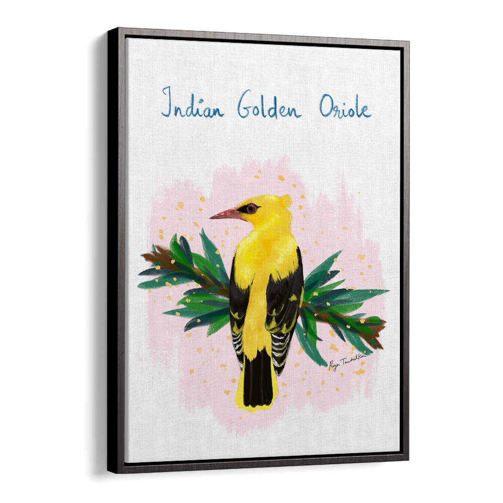 INDIAN GOLDEN ORIOLE