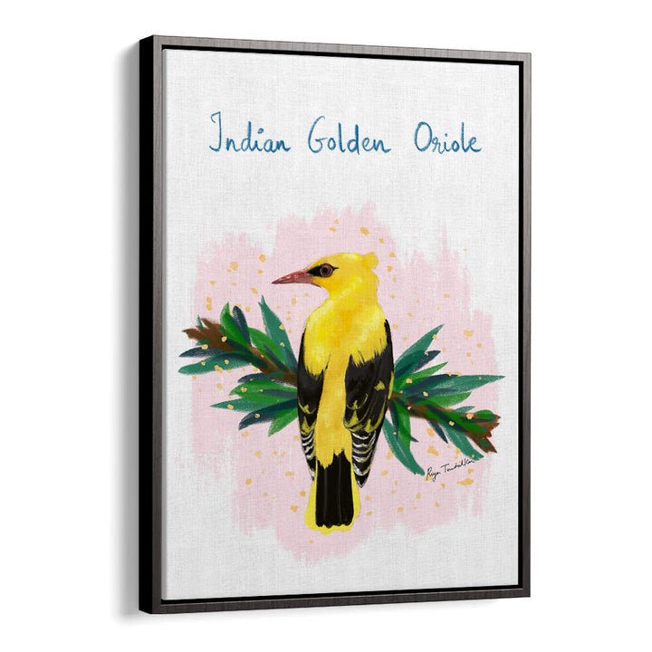 INDIAN GOLDEN ORIOLE