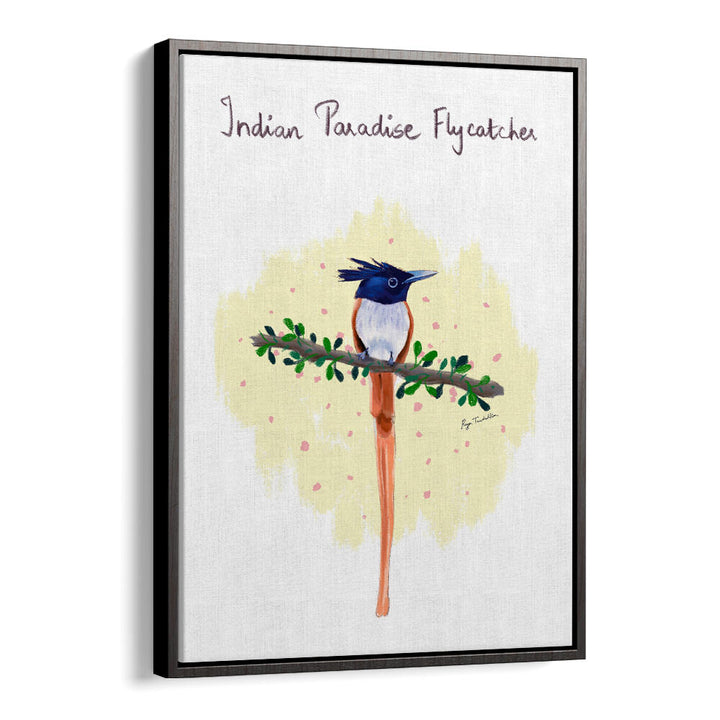 INDIAN PARADISE FLYCATCHER