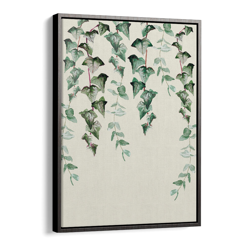 IVY Y EUCALYPTUS