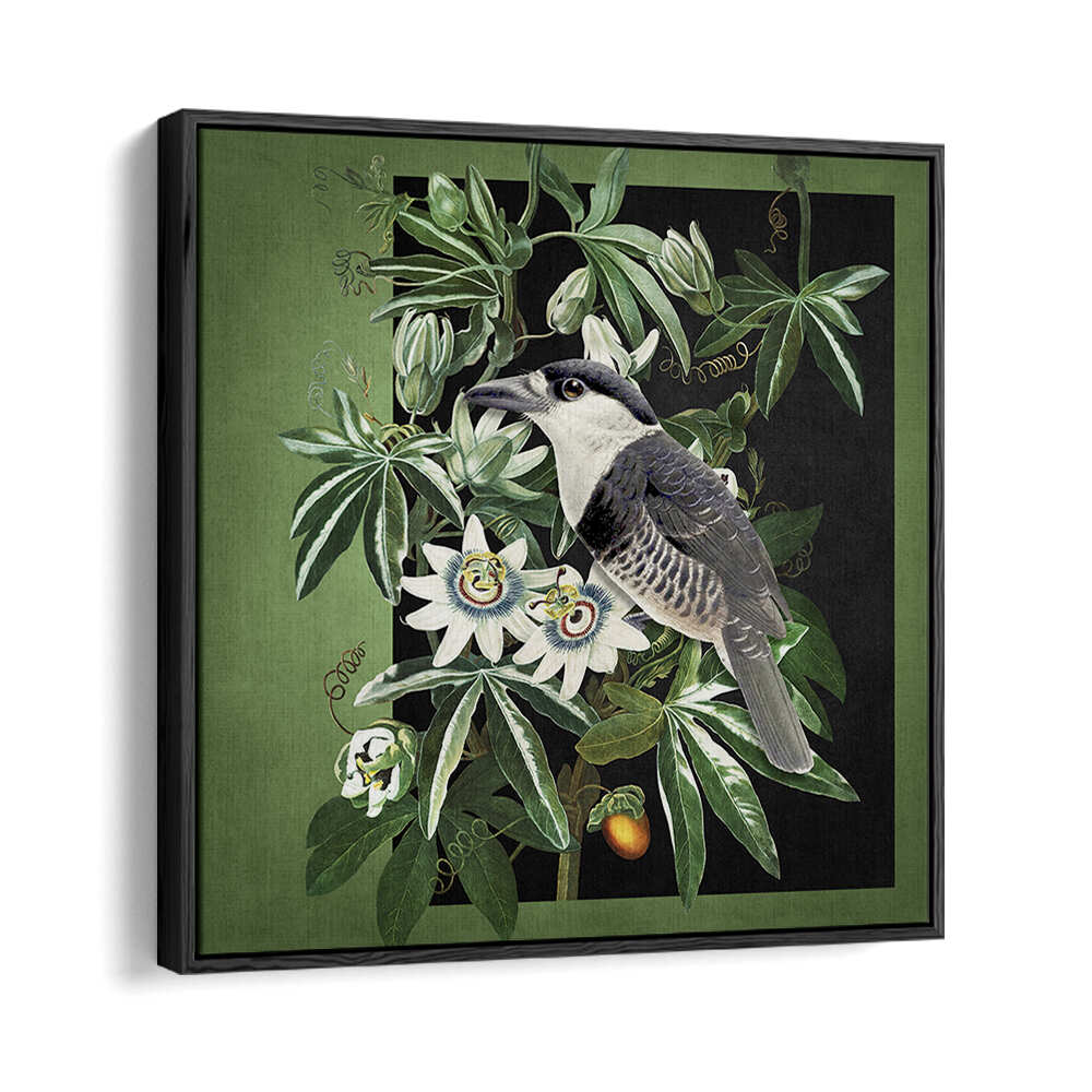 L'OISEAU ET LA PASSIFLORE