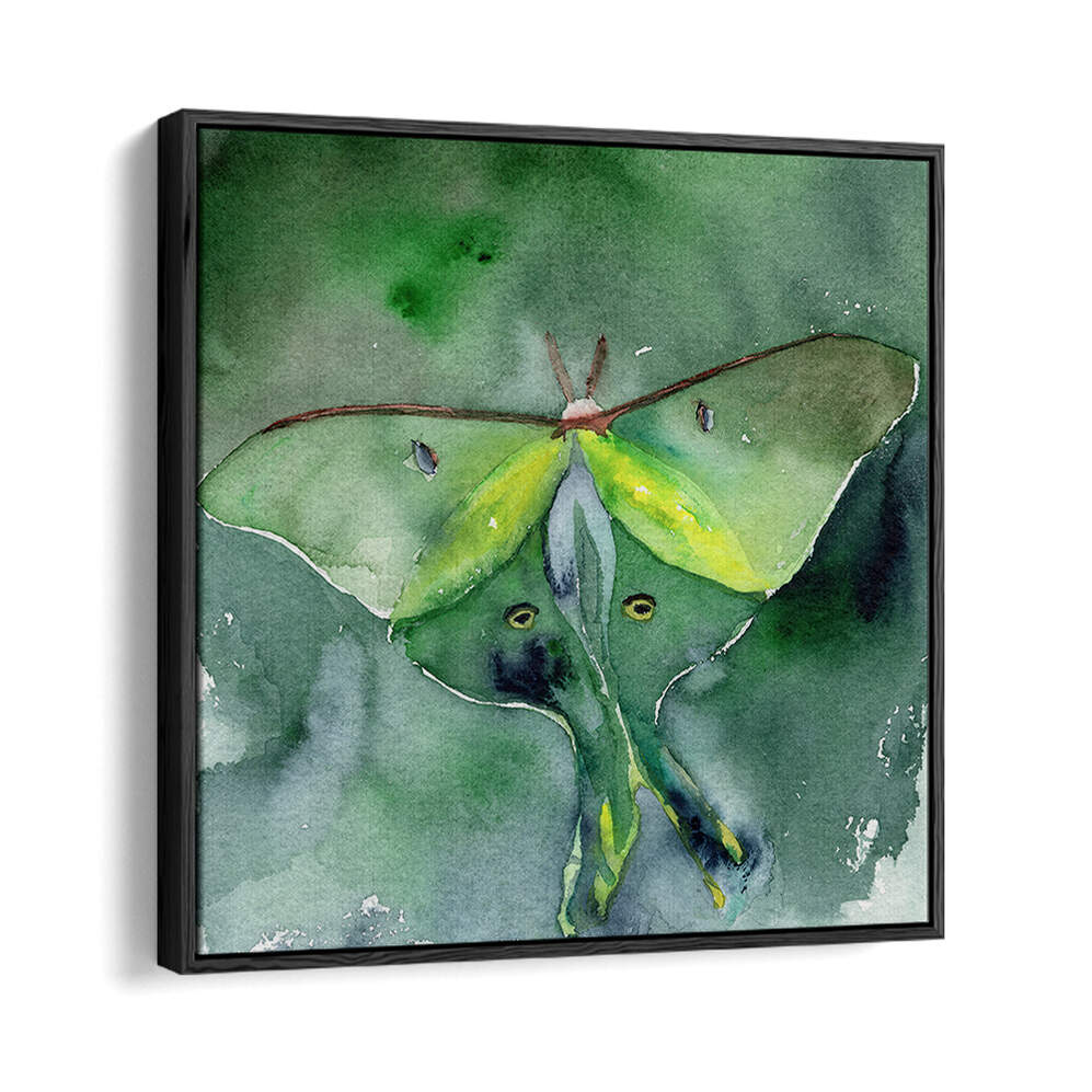 LUNA MOTH , ANIMAL PAINTINGS
