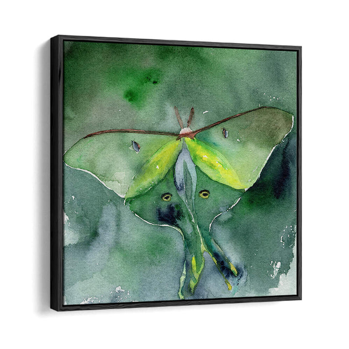 LUNA MOTH , ANIMAL PAINTINGS