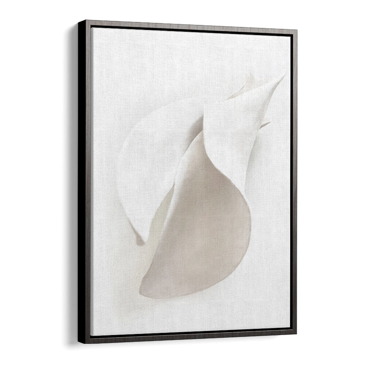 PETAL'S SILENCE , ORGANIC FORMS