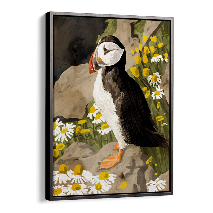 PUFFIN , ANIMAL PAINTINGS