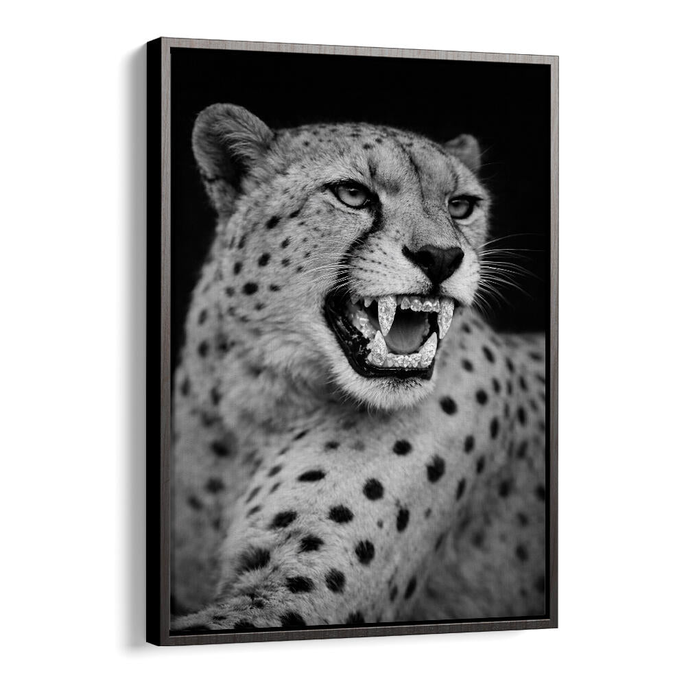 ROARING PREDATOR