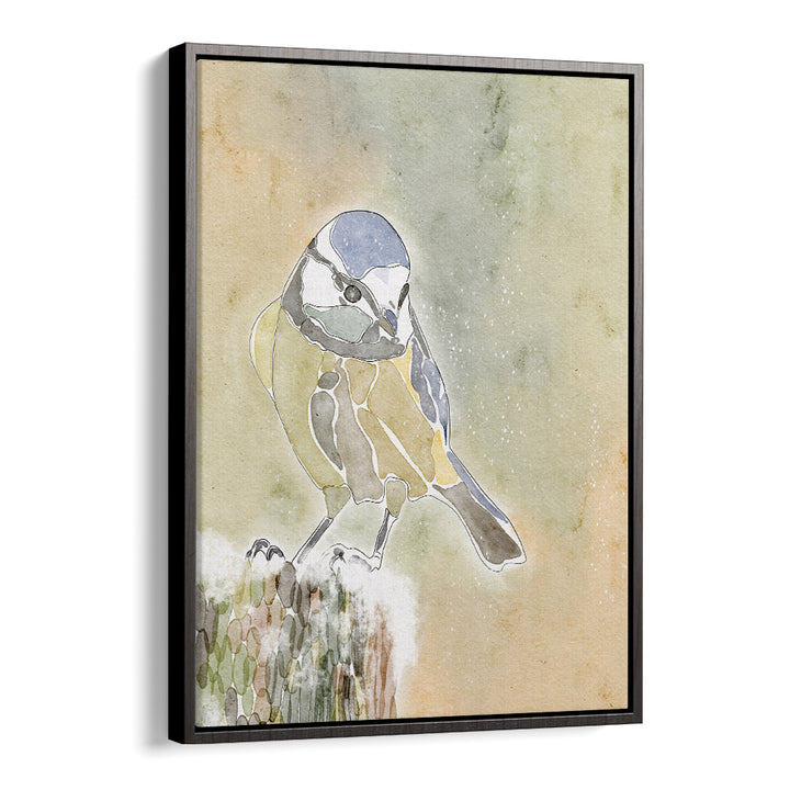SNOWY BLUE TIT