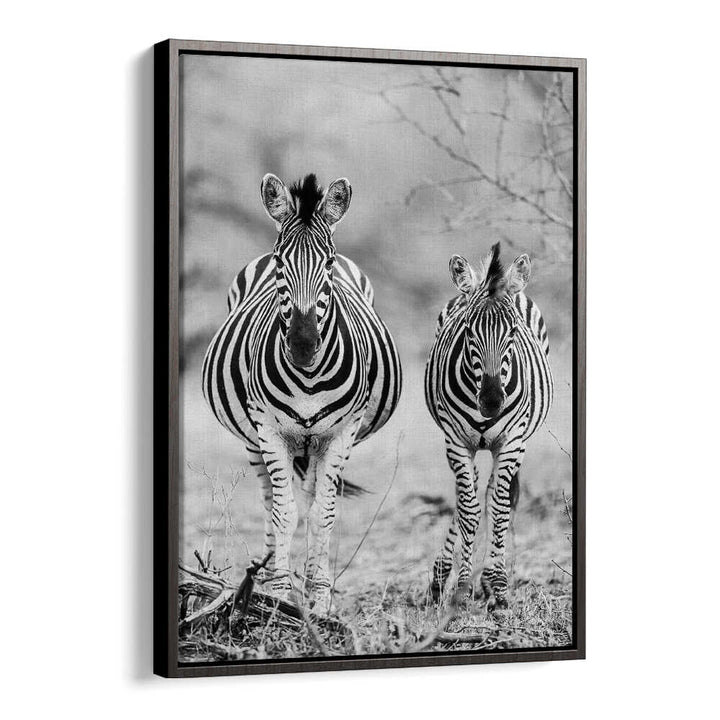 Black Floater STRIPED HORSE , ANIMAL PAINTINGS framed black-and-white zebra pair wall art