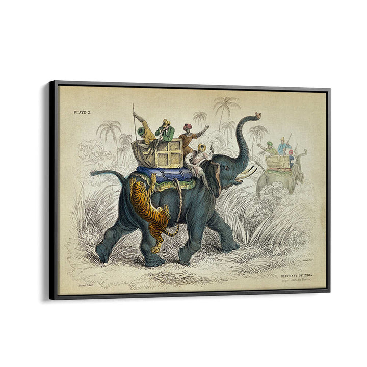 HISTORY OF THE PACHYDERMES