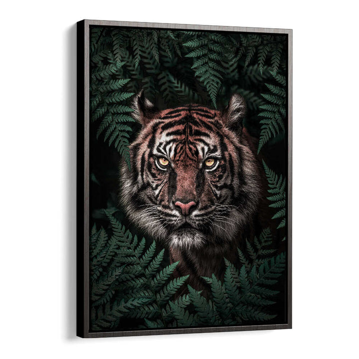 TIGER , ANIMAL PAINTINGS