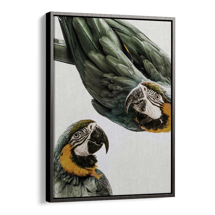 VIBRANT PARROT DUO , ANIMAL PAINTINGS canvas of two green-and-gold macaws, BlackFloater