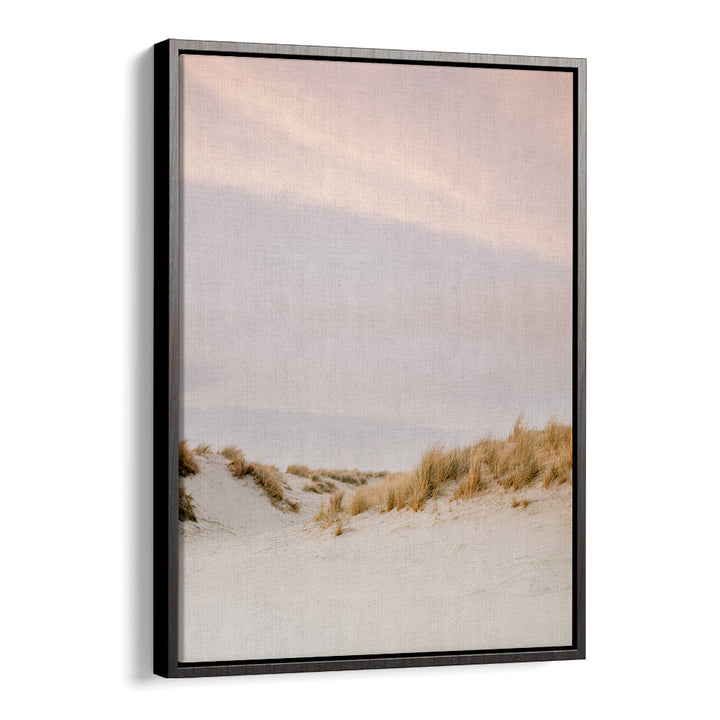 AMELAND DUNES III , PHOTOGRAPHY PRINTS