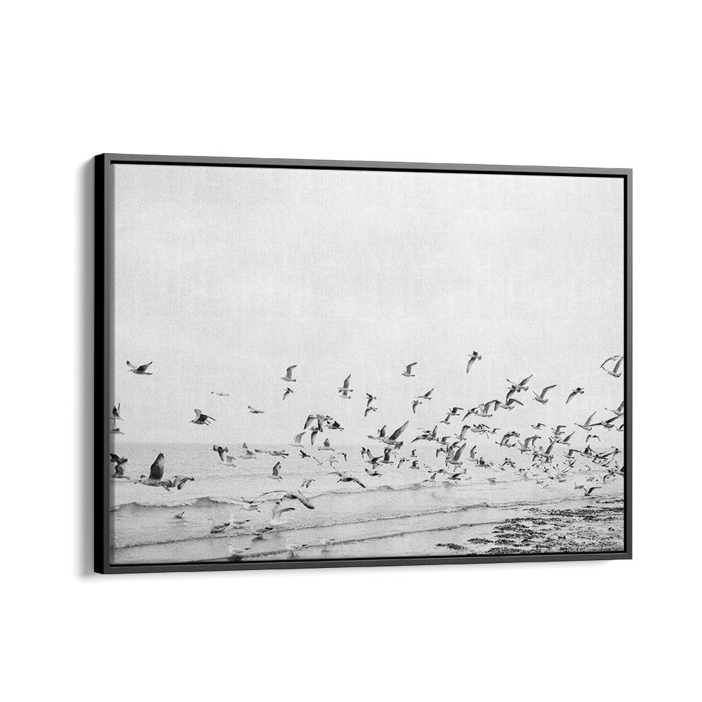 SEAGULLS - COASTAL BLACK AND WHITE BY RAISA ZWART , LANDSCAPE PHOTO PRINTS