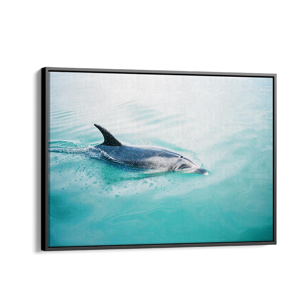 DOLPHIN N.Z. NORTHERN BY RAISA ZWART , LANDSCAPE PHOTO PRINTS