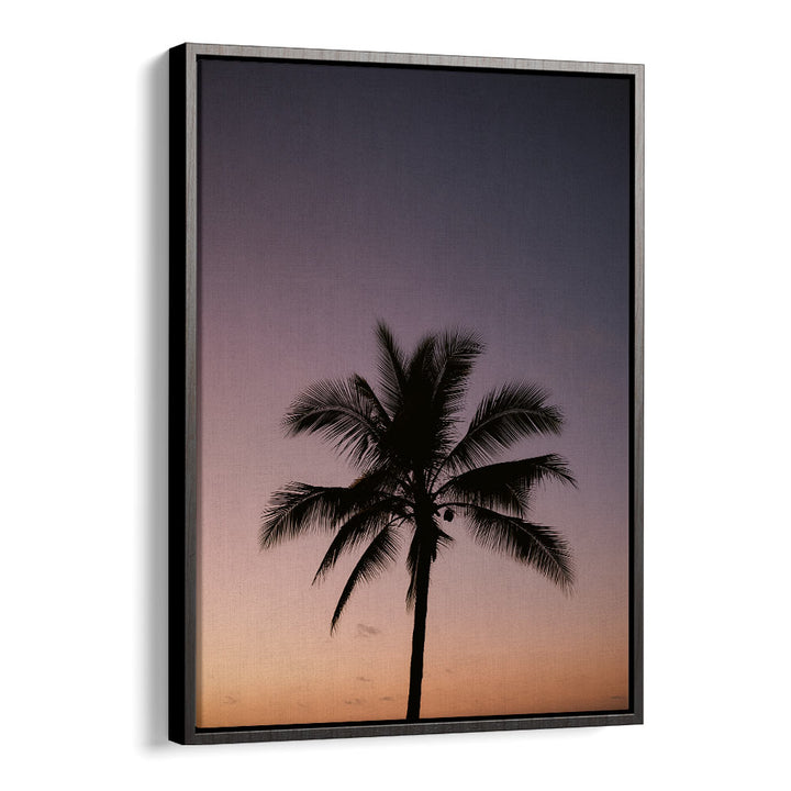 COSTA RICA PALM TREE BY RAISA ZWART , LANDSCAPE PHOTO PRINTS