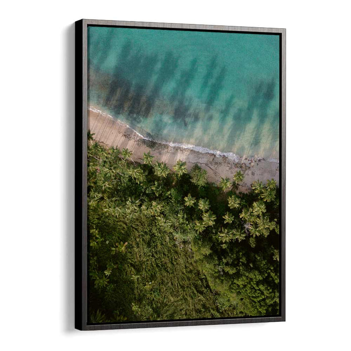 PALM BEACH FROM ABOVE  BY RAISA ZWART , LANDSCAPE PHOTO PRINTS