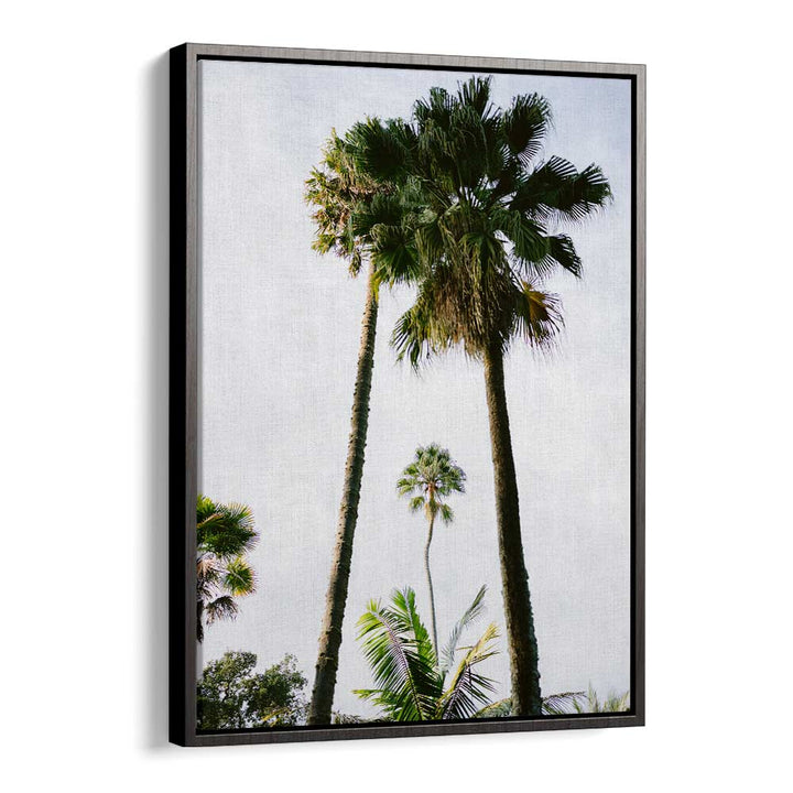 FIND ME UNDER THE PALM TREE , PHOTOGRAPHY PRINTS