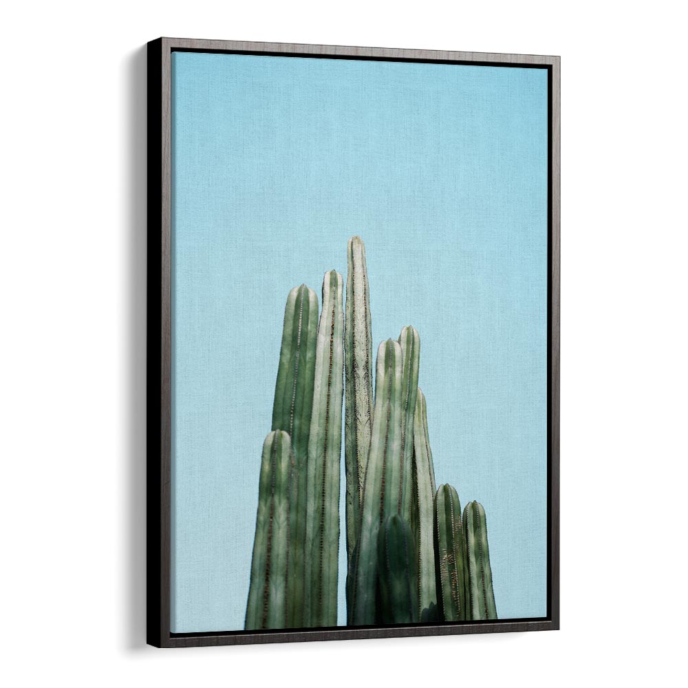 CACTI BY RAISA ZWART , LANDSCAPE PHOTO PRINTS