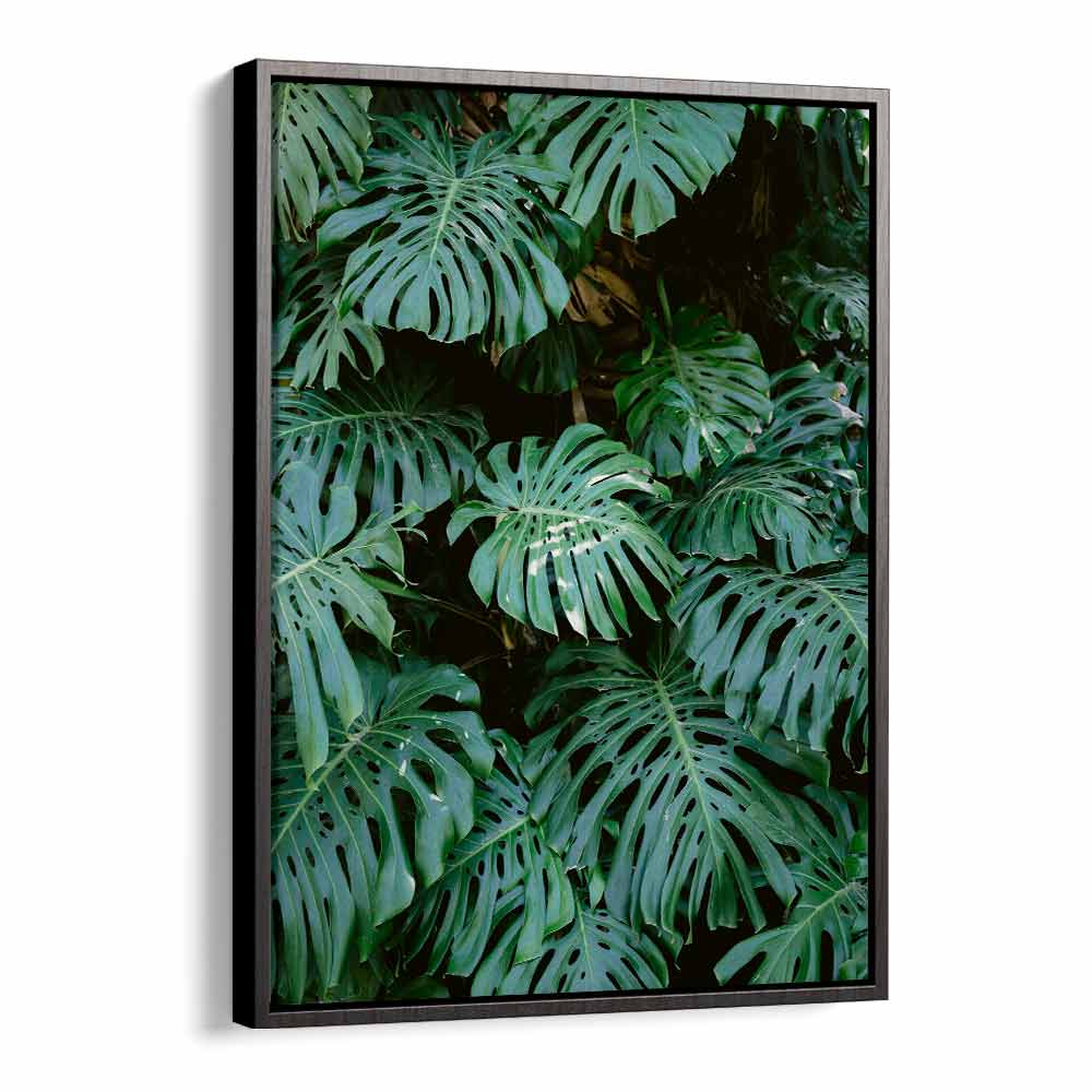 MONSTERA WALL IN LISBON , PHOTOGRAPHY PRINTS