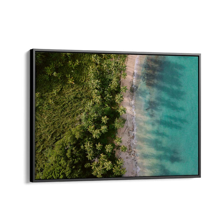 GREEN BEACH FROM ABOVE II BY RAISA ZWART , LANDSCAPE PHOTO PRINTS