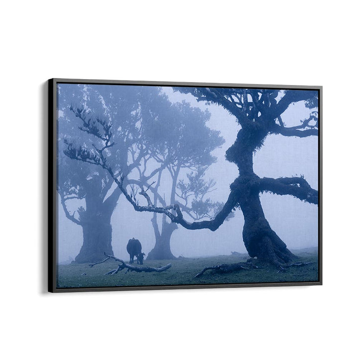 BLUE ENT , LANDSCAPE PHOTO PRINTS , LANDSCAPE PHOTOGRAPHY