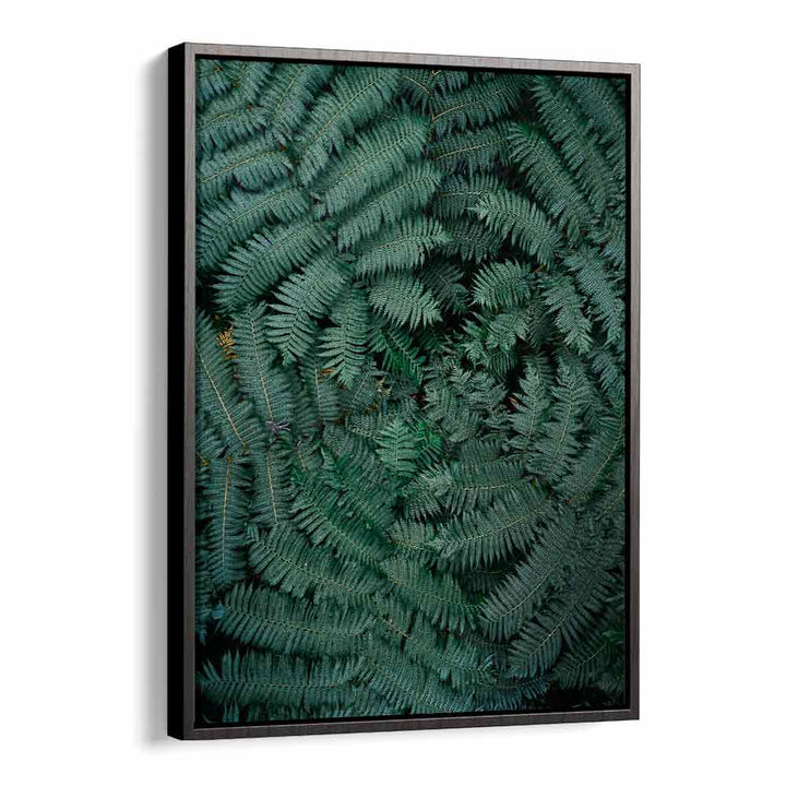 GREEN LEAVES , PHOTOGRAPHY PRINTS