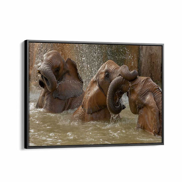 BATH TIME PLAY BY MARC PELISSIER , LANDSCAPE PHOTO PRINTS