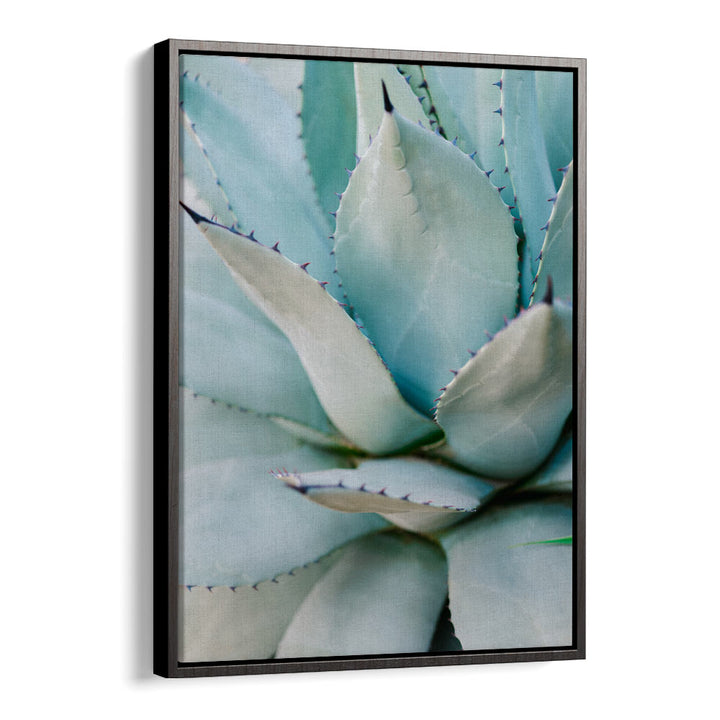 SUCCULENT GREEN BY RAISA ZWART , LANDSCAPE PHOTO PRINTS