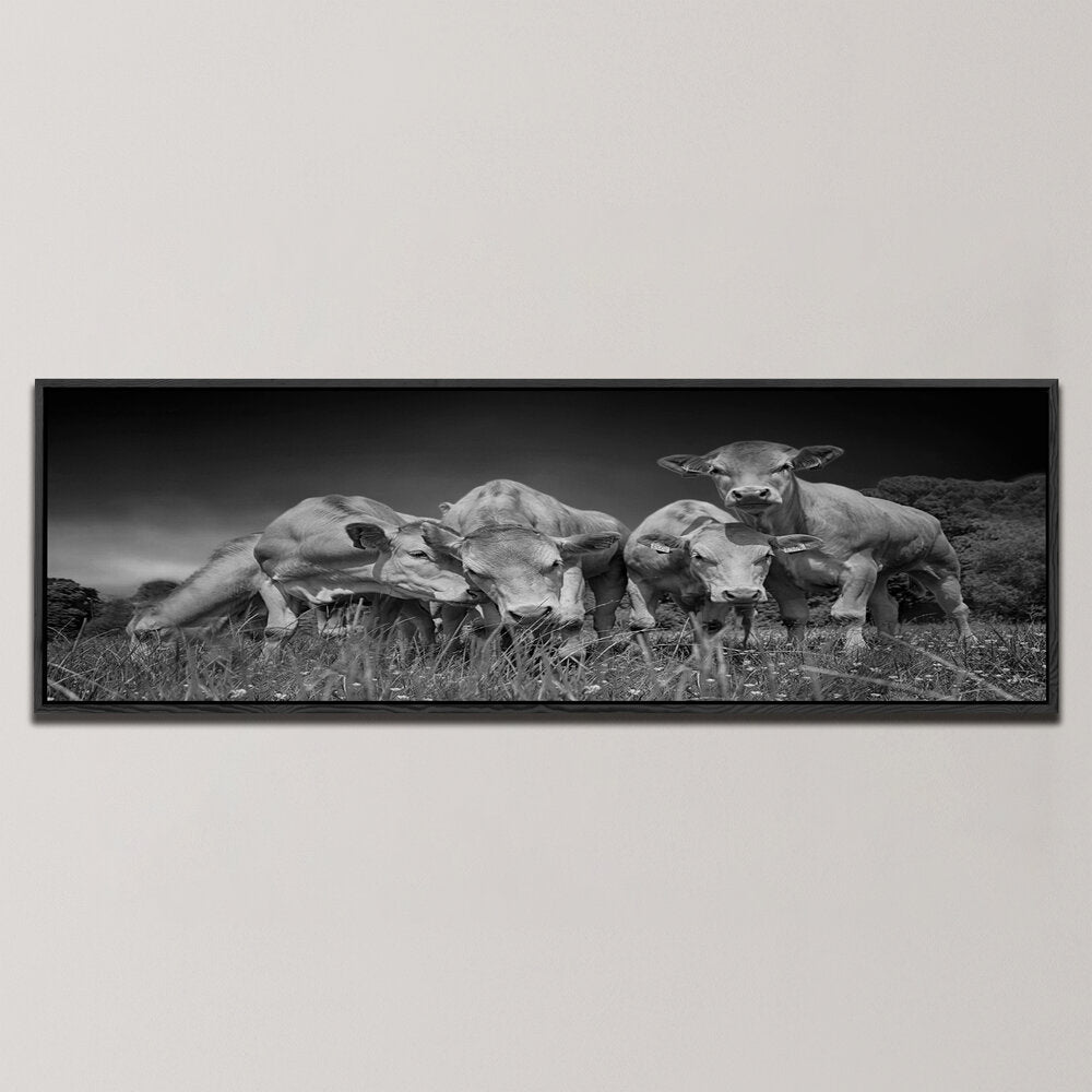 FUNNY COWS , PANORAMIC ART