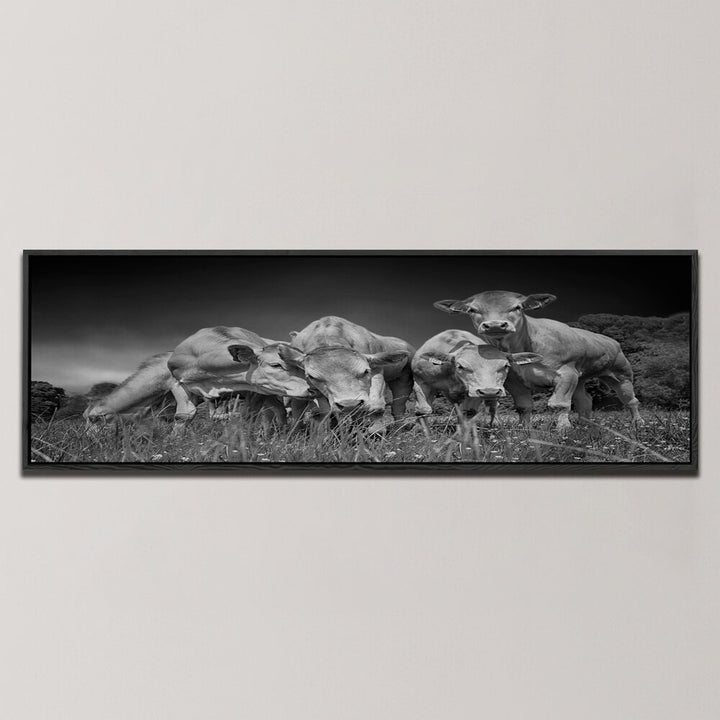 FUNNY COWS , PANORAMIC ART
