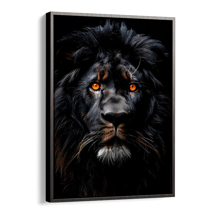 LION BLACK WATERCOLOR ANIMAL ART , WILD LIFE & ANIMAL PAINTINGS