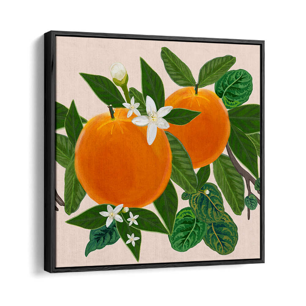 ORANGES , KITCHEN POSTERS
