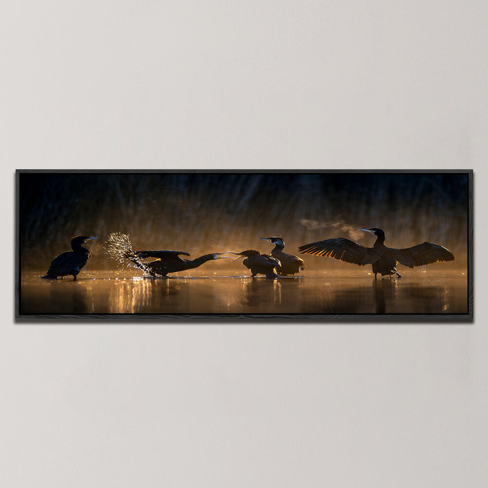 DIE VERSAMMLUNG DER KORMORANE , PANORAMIC ART