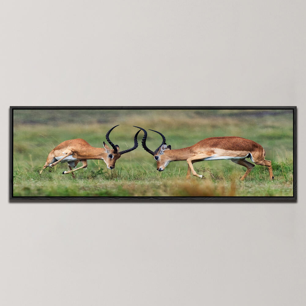 DANCING IN THE RAIN , PANORAMIC ART