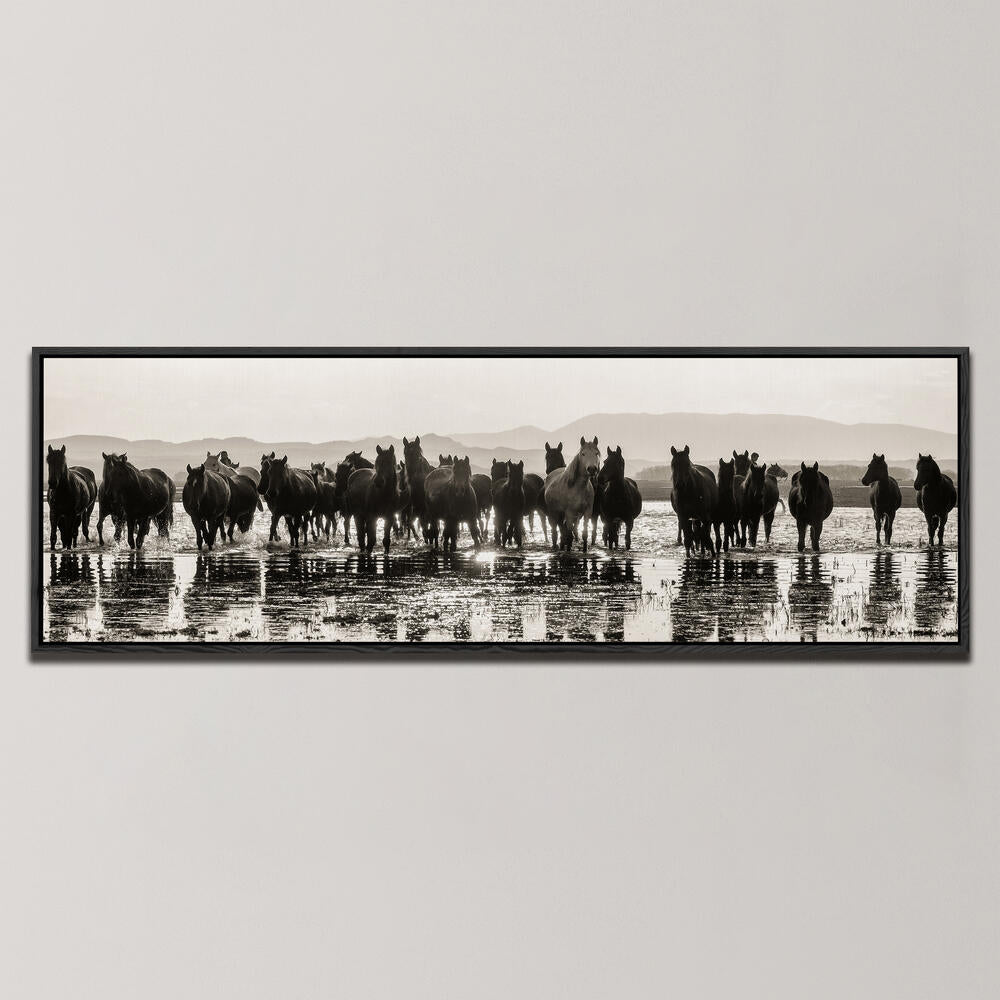HORSES , PANORAMIC ART